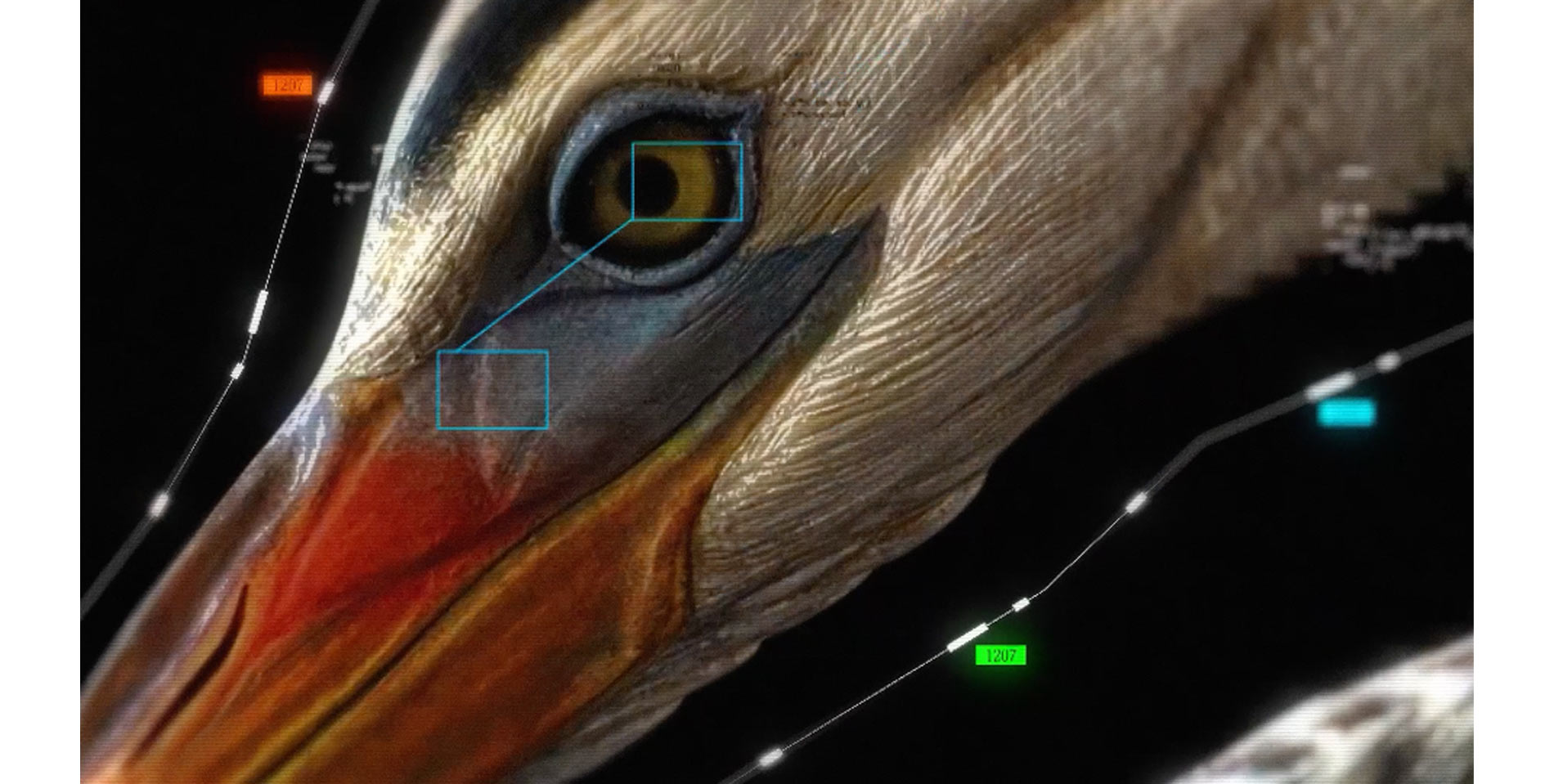 The Birdwatcher: Turning Bird Data Into the Case for Smarter Wind