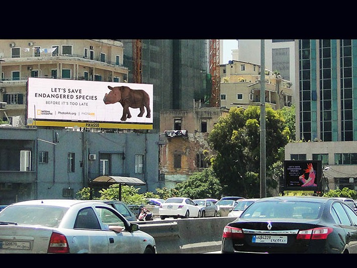 Pikasso Joins the Global OOH Community to support the National Geographic Society Campaign for Endangered Species Day Image